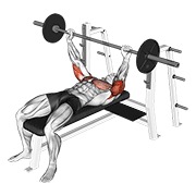 pin potisci sa šipkom — fitness vježba