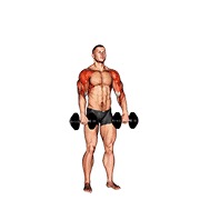 kubanski potisak s bučicama v. 2 — fitness vježba