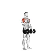 stojeći krug oko tijela s bučicama — fitness vježba
