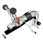 ispružanje tricepsa na negativnoj klupi s EZ šipkom — fitness vježba