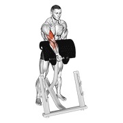 stojeći zottman preacher pregibi s bučicama — fitness vježba