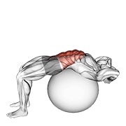 crunch na lopti za stabilnost (puni opseg, ruke iza glave) — fitness vježba
