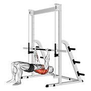 obrnuto veslanje sa savijenim koljenima — fitness vježba