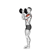 Scott potisak s bučicama — fitness vježba