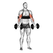 naizmjenični pregibi bicepsa s bučicama (s Arm Blasterom) — fitness vježba