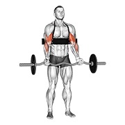 biceps pregibi s EZ šipkom (s arm blasterom) — fitness vježba