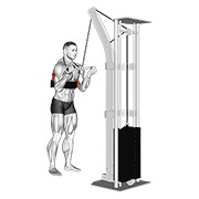 pushdown za triceps obrnutim hvatom na sajli (SZ-šipka) (s arm blasterom) — fitness vježba