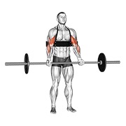 pregibi za biceps sa šipkom (s arm blasterom) — fitness vježba