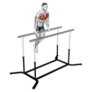 dipovi za prsa na ravnoj šipci — fitness vježba