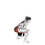 sumo pull through s bučicom — fitness vježba