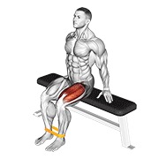 ekstenzija nogu s elastičnom trakom — fitness vježba