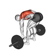 Pendlay veslanje sa šipkom — fitness vježba