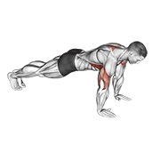 sklek plus — fitness vježba