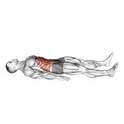 četvrtinski trbušnjak — fitness vježba
