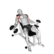 Hyght razvlačenje bučicama — fitness vježba