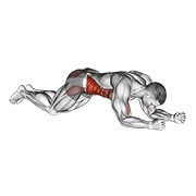 klečeći plank s dodirom ramena (muški) — fitness vježba