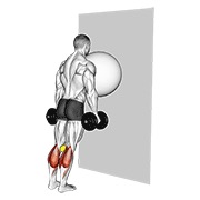 podizanje listova uz zid s loptom za vježbanje (teniska loptica između koljena) — fitness vježba