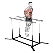 dipovi na laktovima — fitness vježba