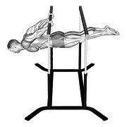 back lever — fitness vježba