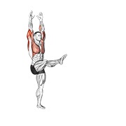 stoj na rukama — fitness vježba