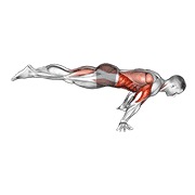 sklek u punom plancheu — fitness vježba