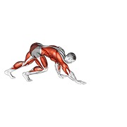 medvjeđi hod — fitness vježba