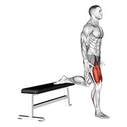 kvadriceps — fitness vježba