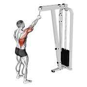 pulldown jednom rukom na sajli — fitness vježba