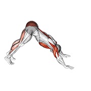 sklek iz pike u kobru — fitness vježba
