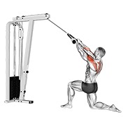 klečeće veslanje za stražnje deltoide na sajli (s užetom) — fitness vježba